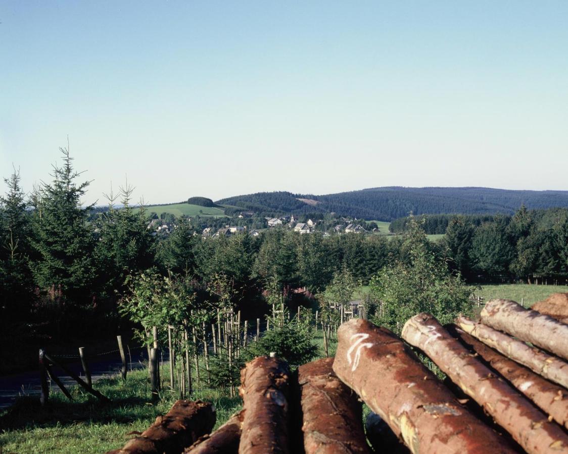 Aussichtsbauernhofpension Hof Gretchens Winterberg Extérieur photo