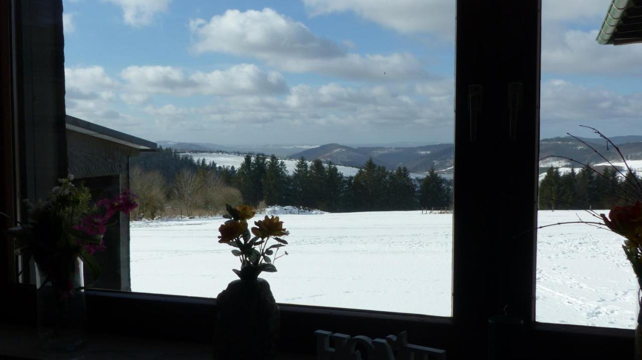 Aussichtsbauernhofpension Hof Gretchens Winterberg Extérieur photo