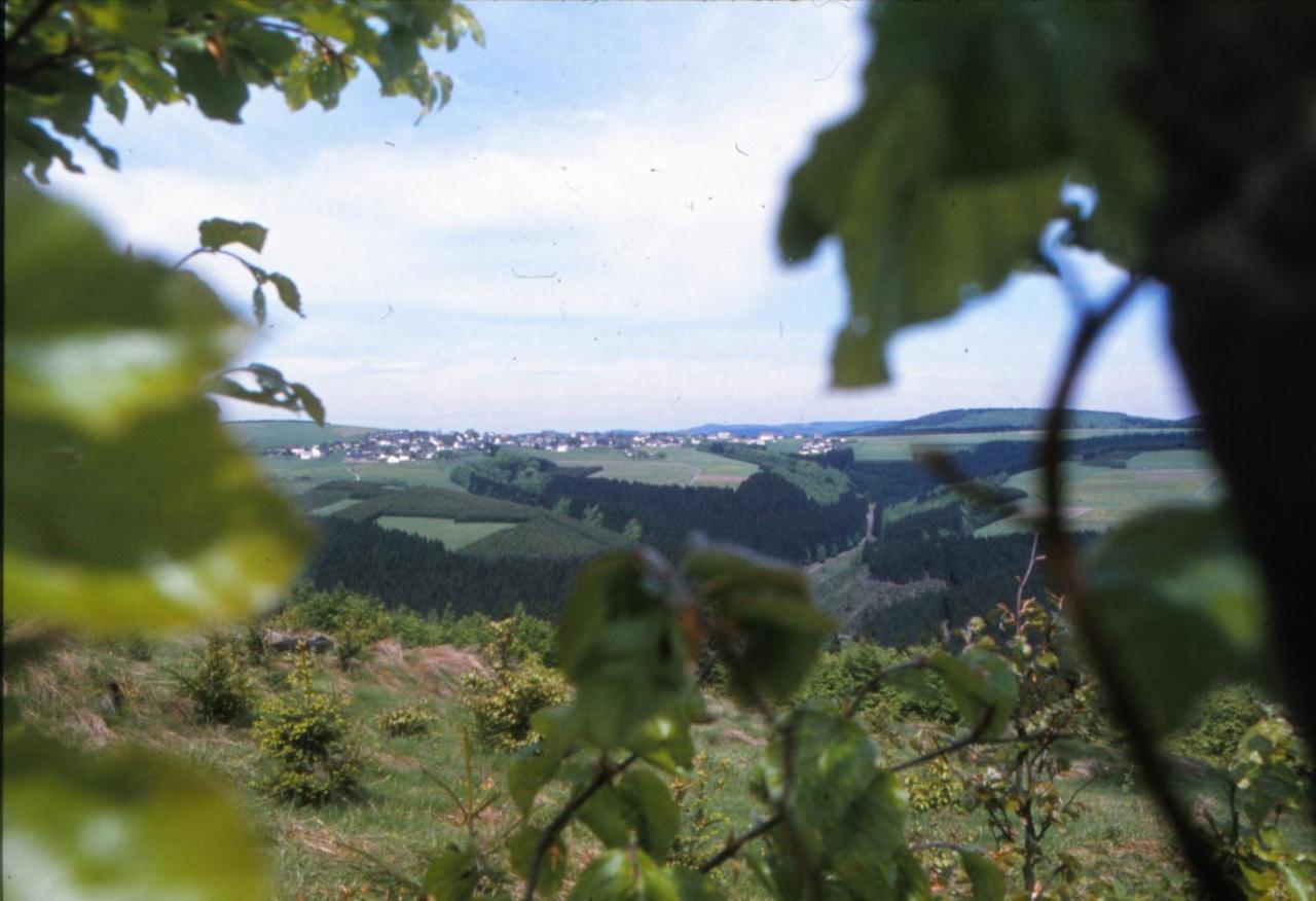 Aussichtsbauernhofpension Hof Gretchens Winterberg Extérieur photo